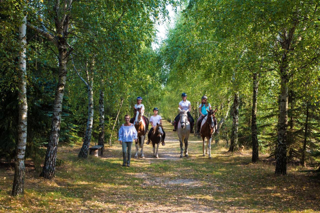 Фермерський будинок Sokole Ranczo *